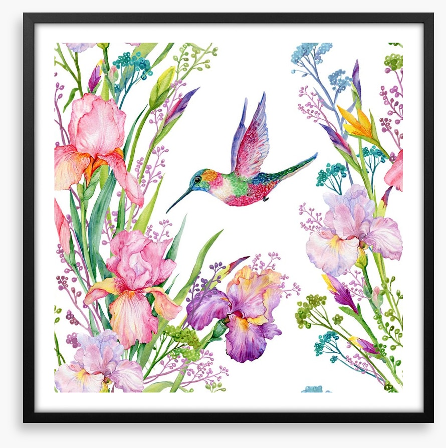 Iris and hummingbird