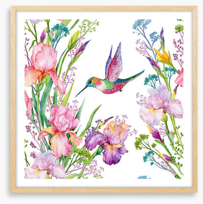 Iris and hummingbird