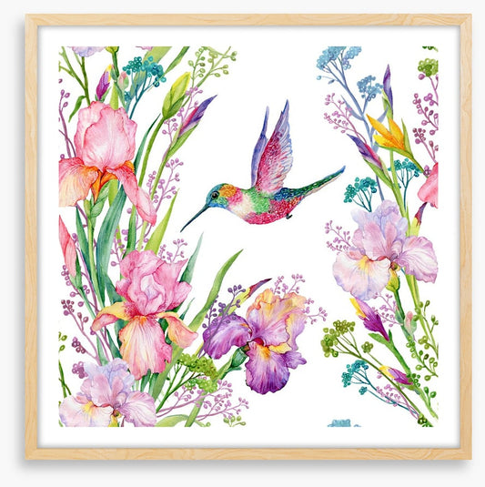 Iris and hummingbird