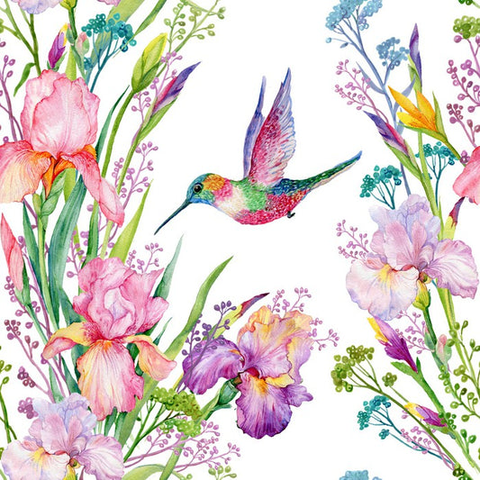 Iris and hummingbird