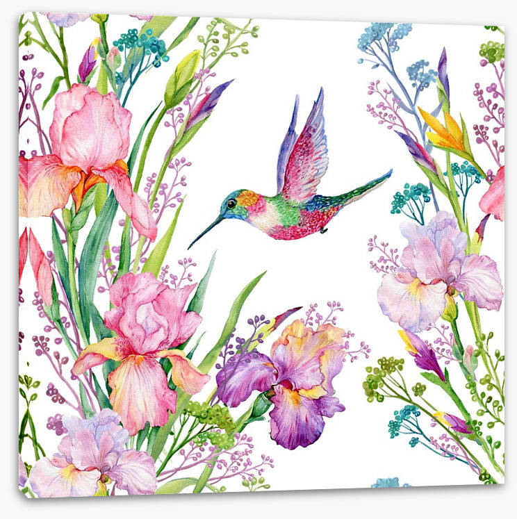 Iris and hummingbird
