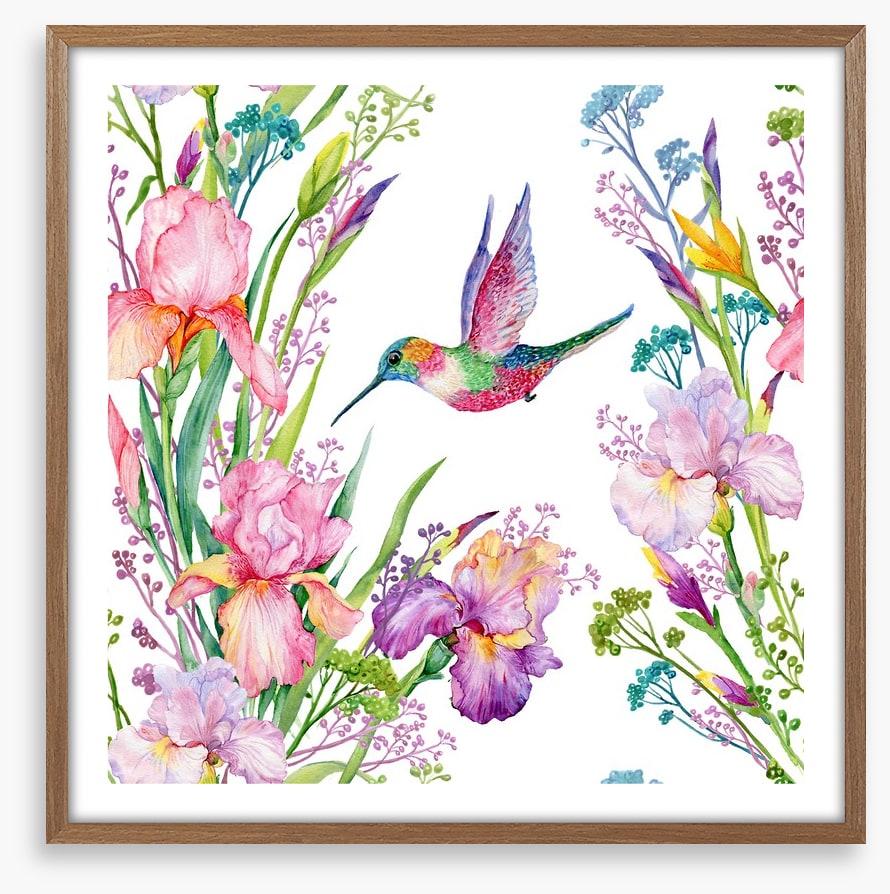 Iris and hummingbird