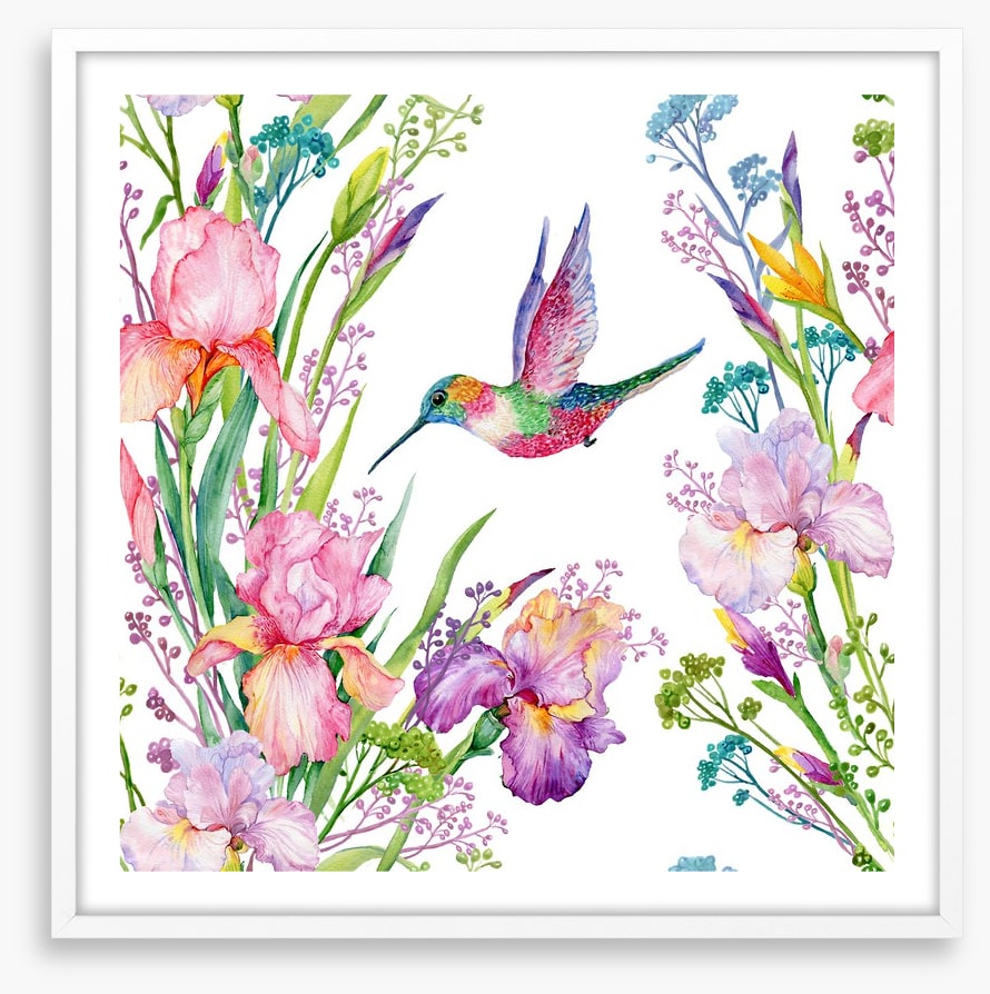Iris and hummingbird