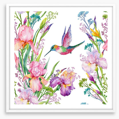 Iris and hummingbird