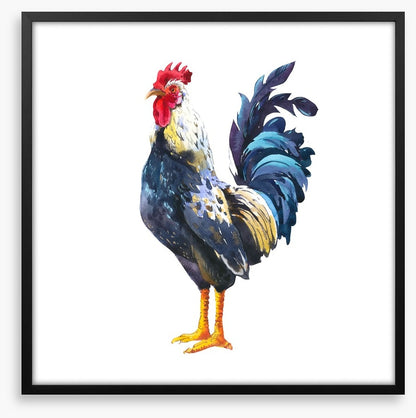 The blue rooster