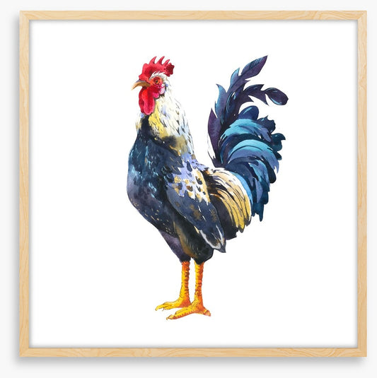 The blue rooster