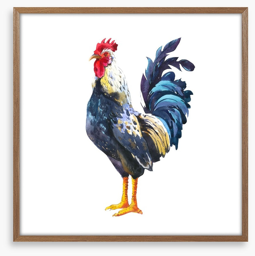 The blue rooster