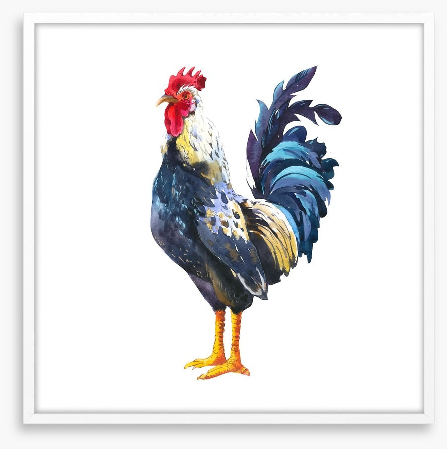 The blue rooster