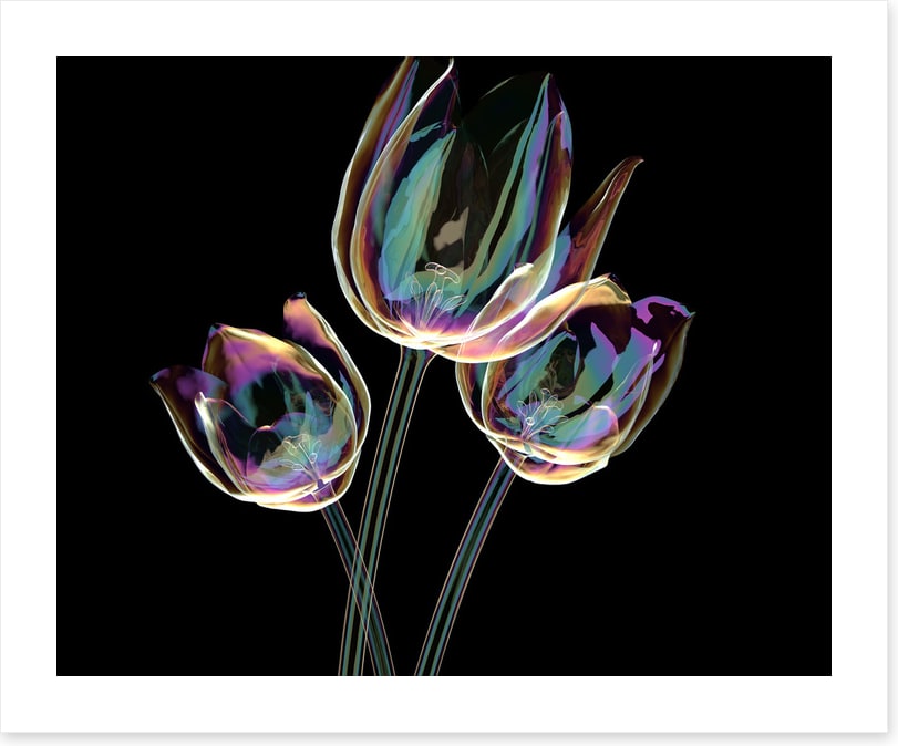 The glass tulips