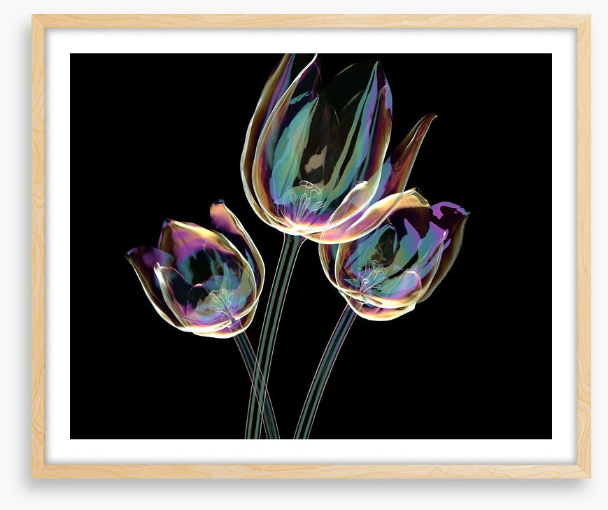 The glass tulips