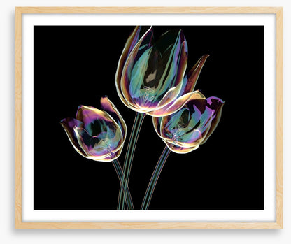 The glass tulips
