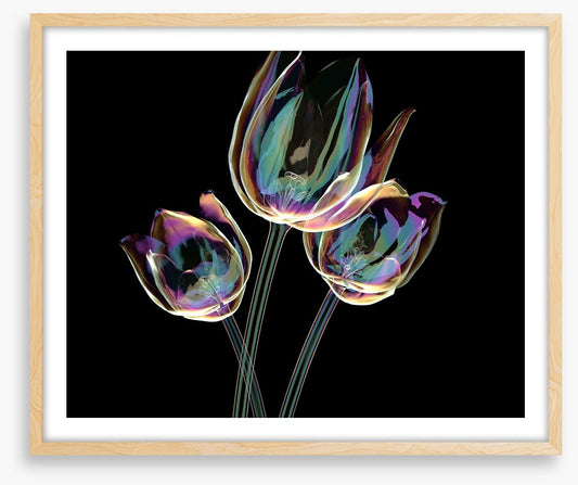 The glass tulips