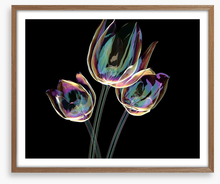 The glass tulips