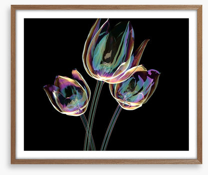 The glass tulips