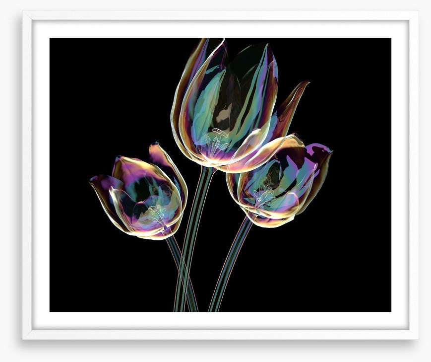 The glass tulips