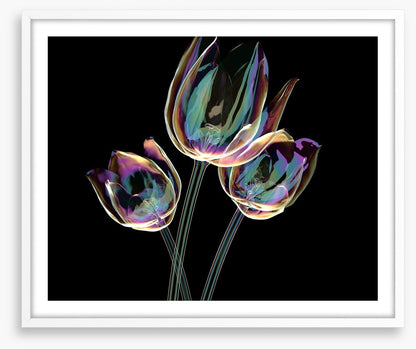 The glass tulips