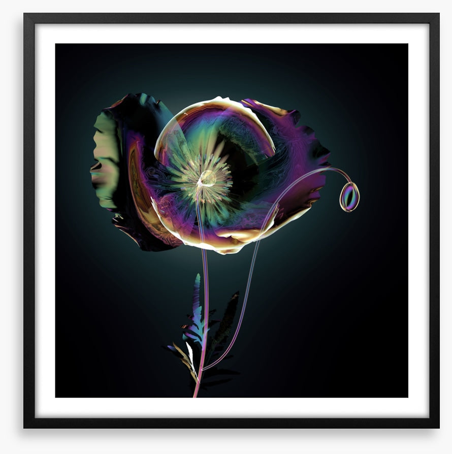 The glass poppy