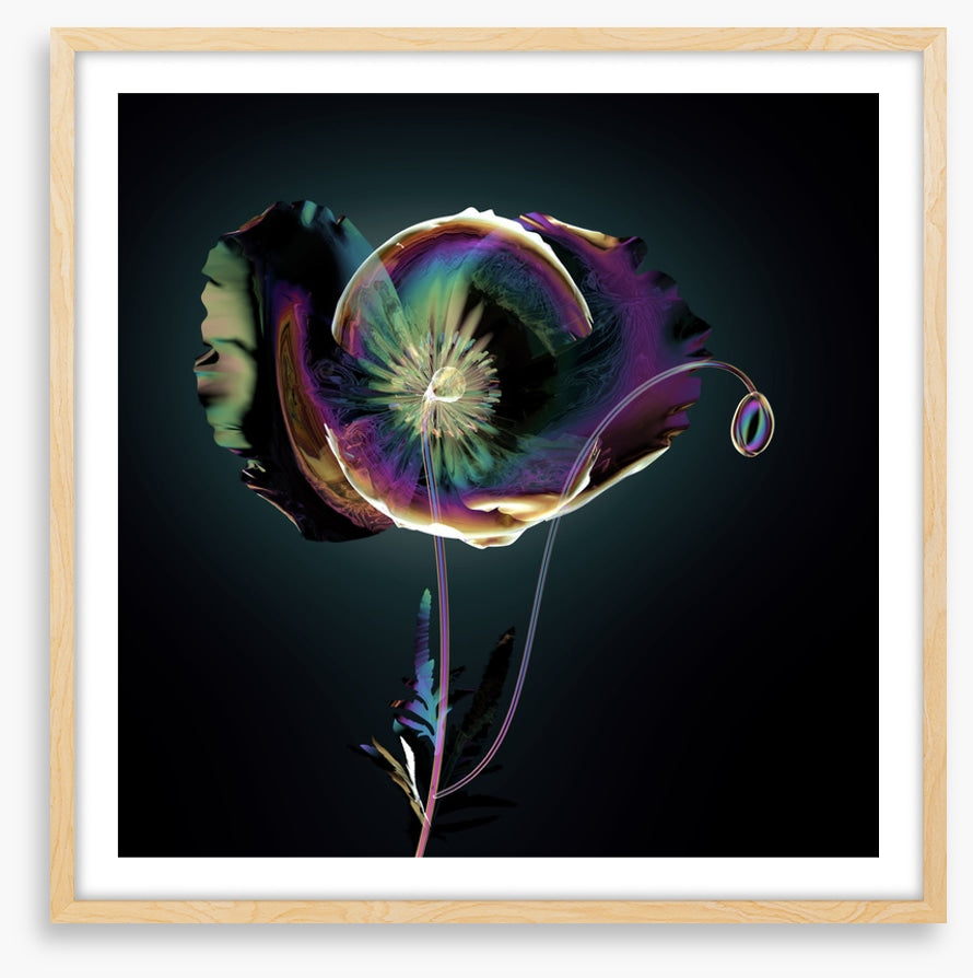 The glass poppy