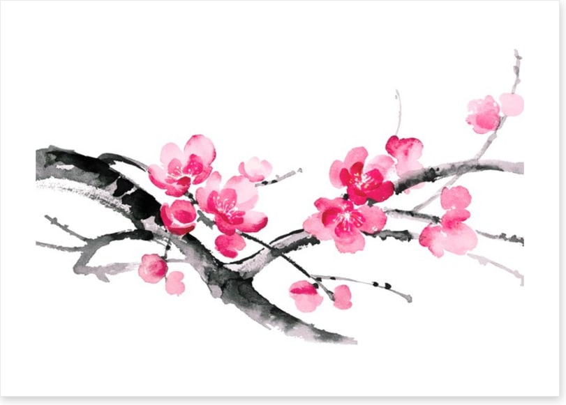 Cherry blossom branch