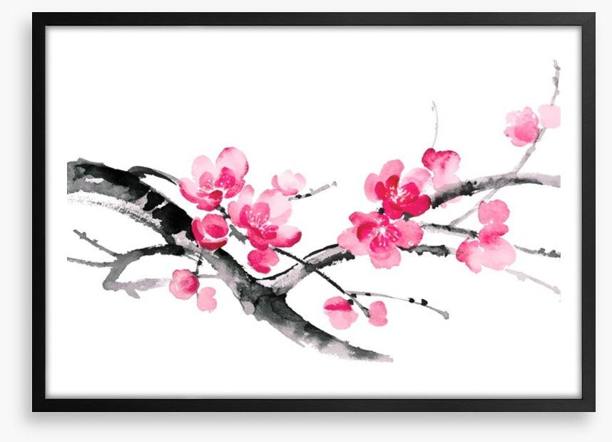 Cherry blossom branch
