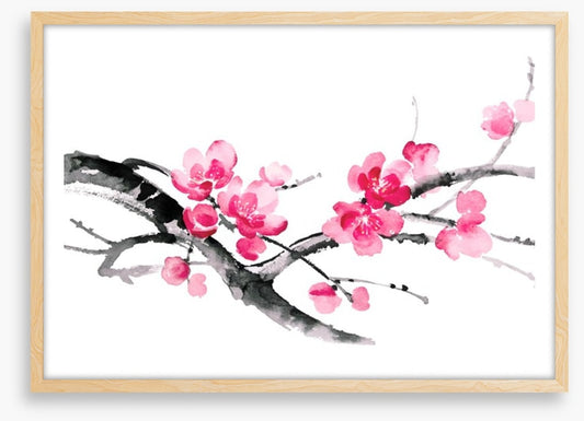 Cherry blossom branch