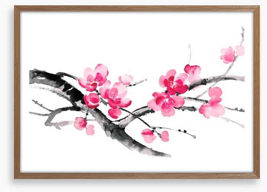 Cherry blossom branch