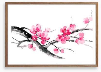 Cherry blossom branch