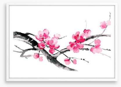 Cherry blossom branch