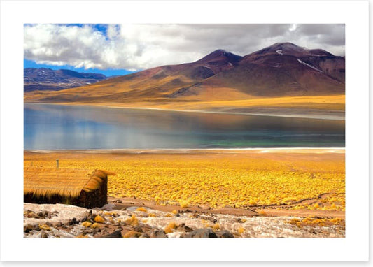 South America