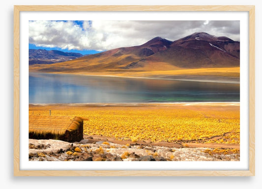 South America