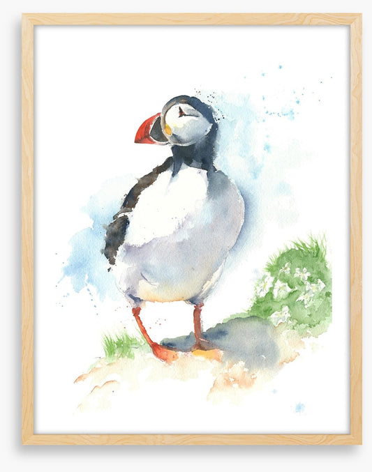 Little puffin
