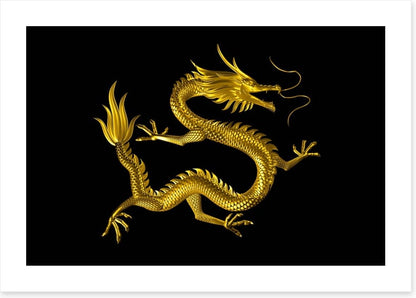 Dragons