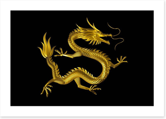 Dragons