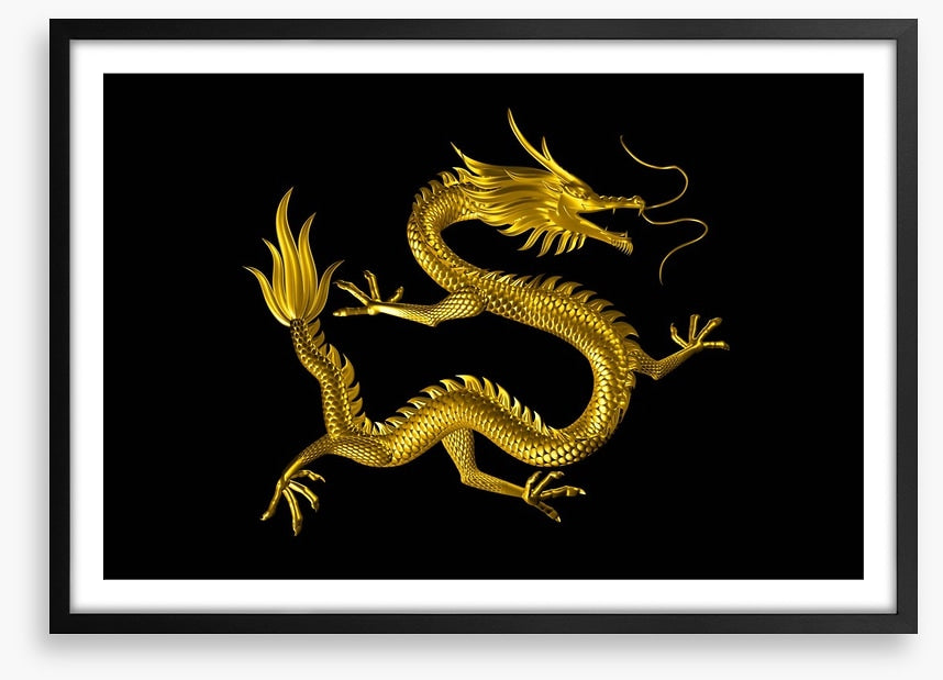 Dragons