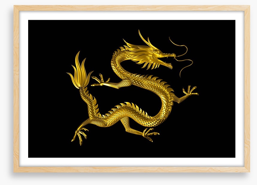 Dragons