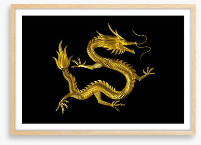 Dragons