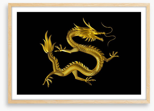Dragons