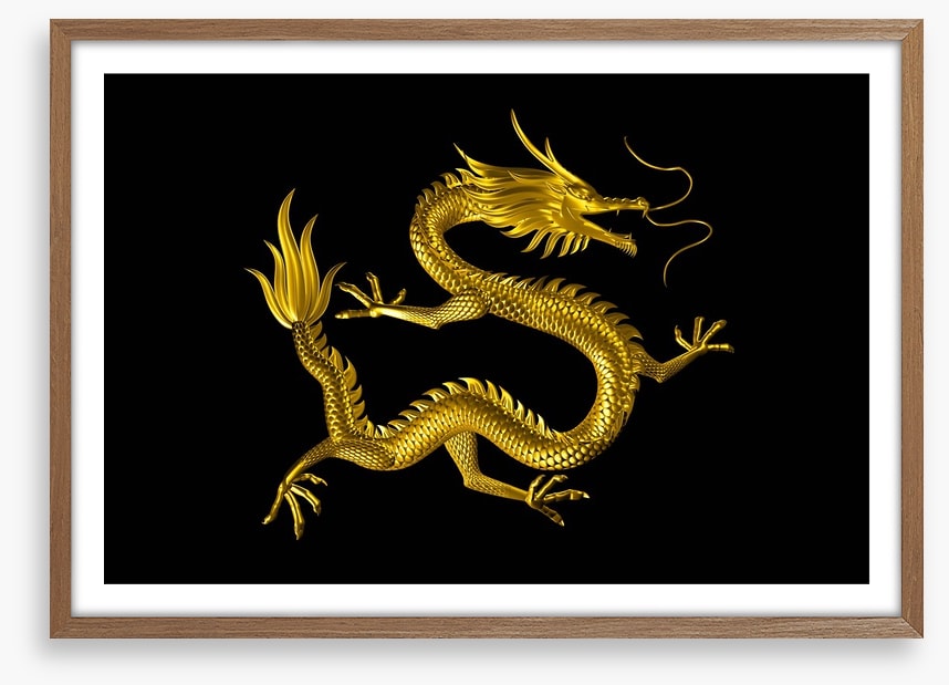 Dragons