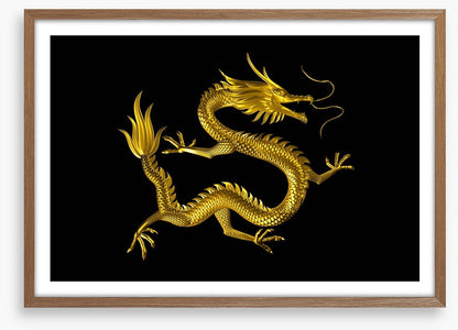 Dragons