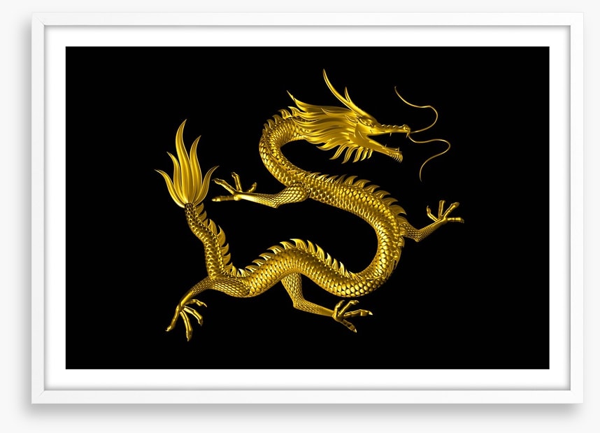 Dragons