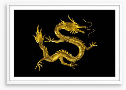 Dragons