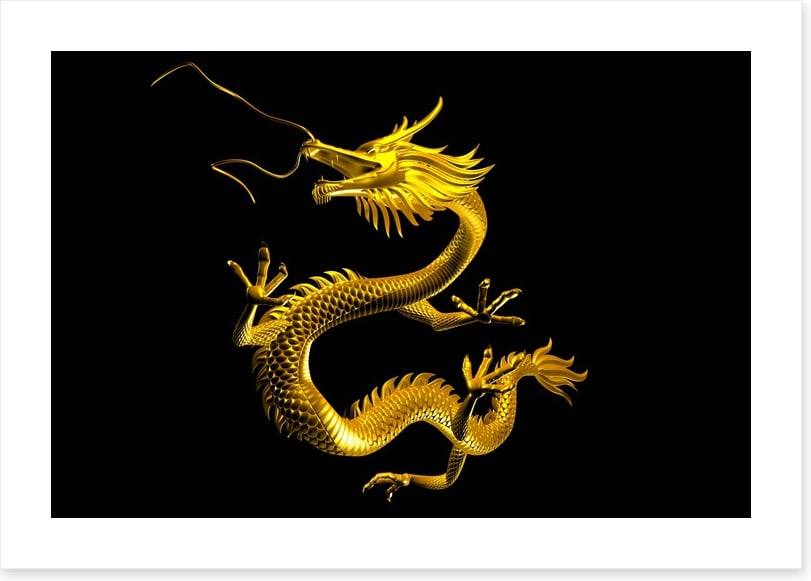 Dragons