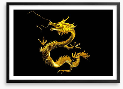 Dragons
