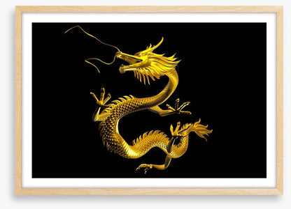 Dragons