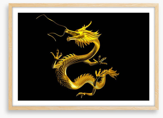 Dragons