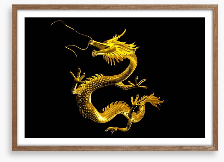Dragons