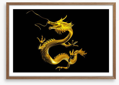 Dragons