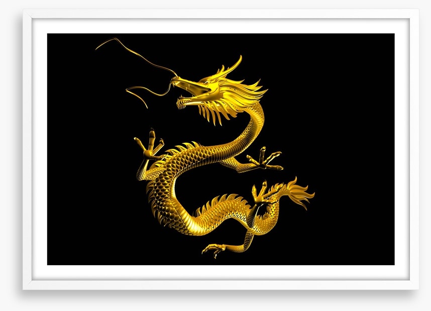 Dragons
