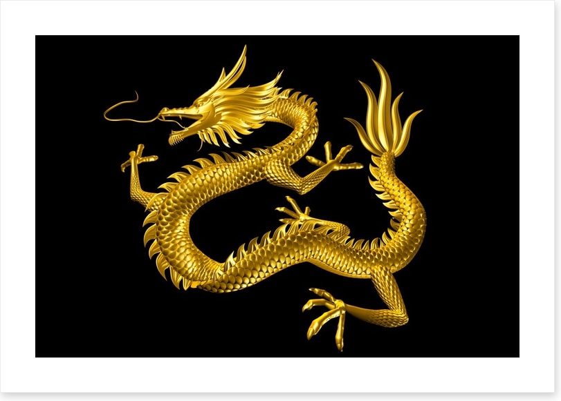 Dragons