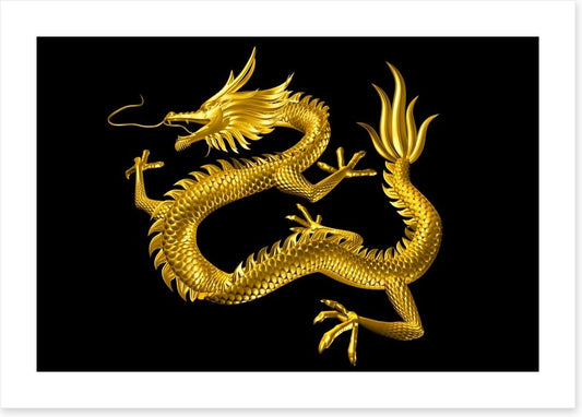 Dragons